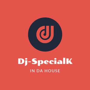 DJ SpecialK Artwork Image