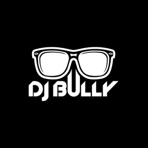 DJ BULLY(DONT BULLY ME) Artwork Image