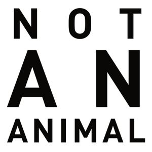 Not An Animal Artwork Image