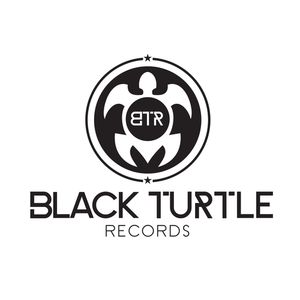 Black Turtle Records Artwork Image