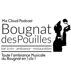 Bougnat Des Pouilles Bar Artwork Image