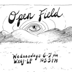 Open Field on WXOJ Artwork Image