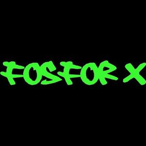 I AM FOSFOR.X RAVEOLLUSIONIST! Artwork Image