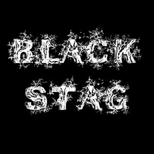 Black Stag Artwork Image