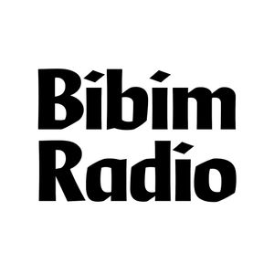 bibimradio Artwork Image