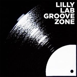Lilly Lab - Groove Zone Artwork Image