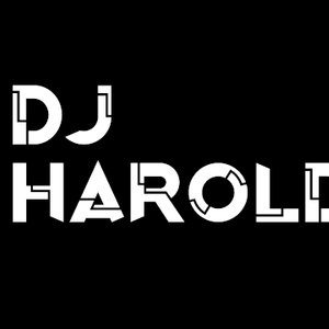 DJ Harold Artwork Image
