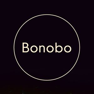 Bonobo Artwork Image