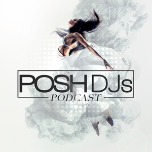POSH DJs Artwork Image