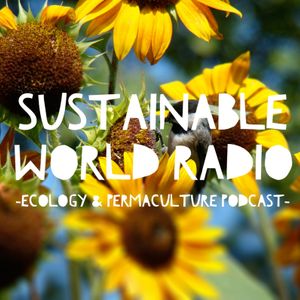 Sustainable World Radio Artwork Image