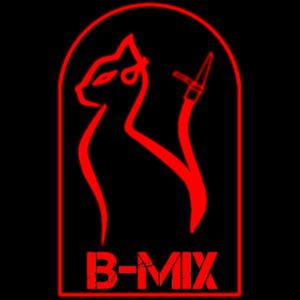 BMixWebradio Artwork Image
