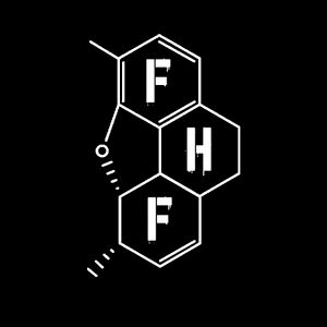 FHF RECORDS Artwork Image