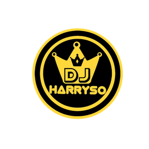 DJ HARRYSO Artwork Image