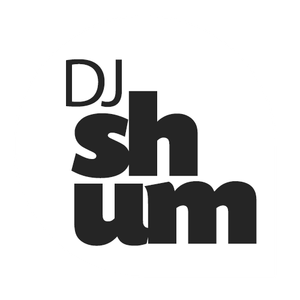 DJ Shum / DJ Шум Artwork Image