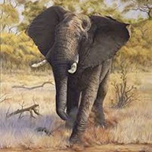 Ronald Overby BLACK ELEPHANT Artwork Image