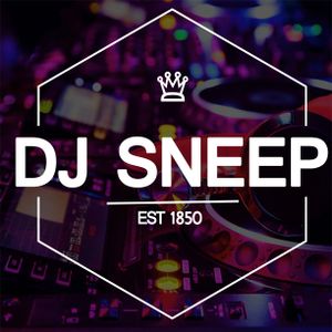 DJ SNEEP Artwork Image