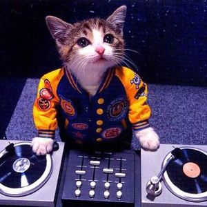 Tag A Cat Radio Artwork Image