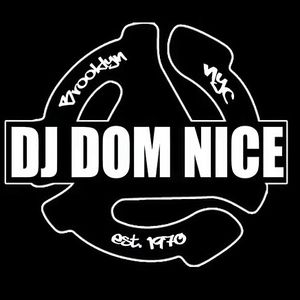 THE INCREDIBLE DJ DOM NICE Artwork Image