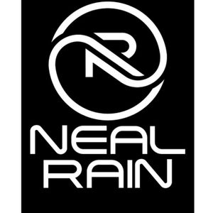 Neal Rain Artwork Image
