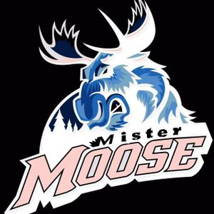 Mister Moose Artwork Image