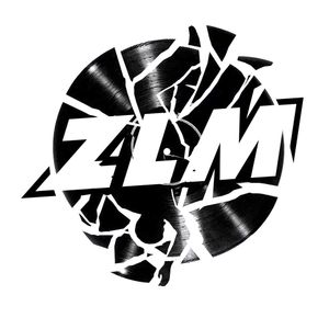 ZLM Artwork Image