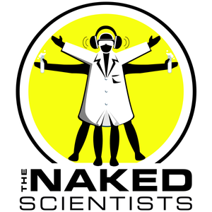 Naked Scientist Artwork Image