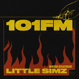 Little Simz (101FM) Artwork Image