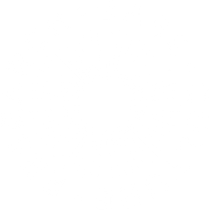 Bass Culture Research Artwork Image