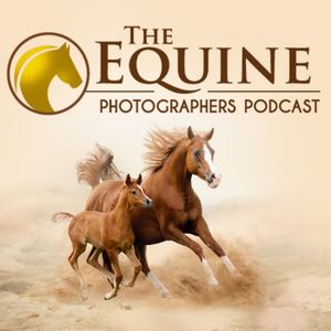 Equine Photographers Podcast Artwork Image