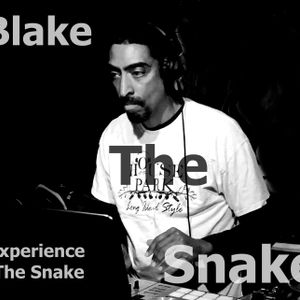 DJ Blake the Snake Artwork Image