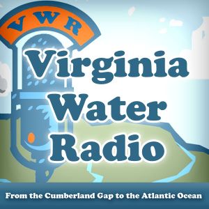 Virginia Water Radio Artwork Image