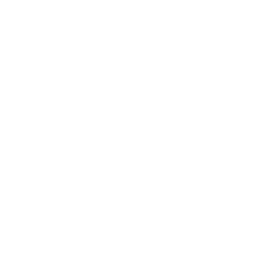 DJ Lou Entertainment (OCCALI) Artwork Image
