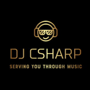 Music By DJ CSharp Artwork Image