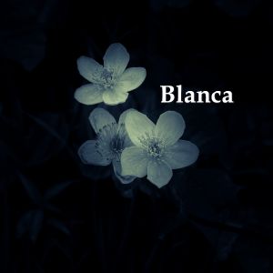 Blanca Artwork Image