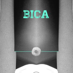 BICA Artwork Image