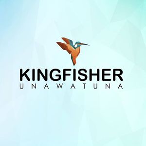 Kingfisher Unawatuna Artwork Image