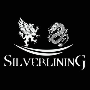 silverlining (Shanghai) Artwork Image