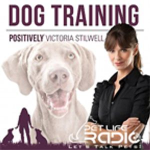 Positively Podcast - Victoria  Artwork Image