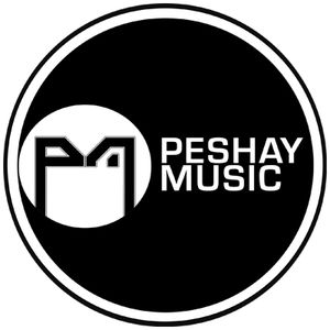 DJ Peshay Artwork Image