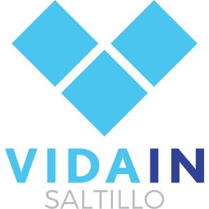 VIDAIN - Saltillo Artwork Image