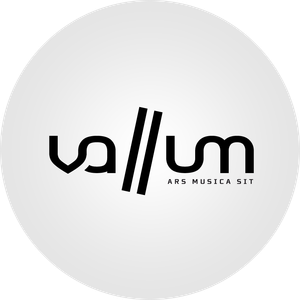vallum // ars musica sit Artwork Image