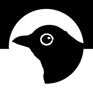 Blackbird Ordinary Artwork Image