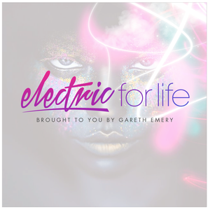 Electric For Life Artwork Image