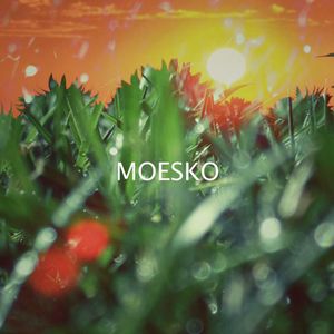 Moesko Artwork Image