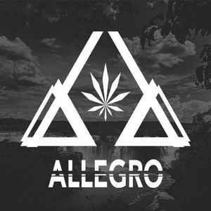Allegro Broadcast Artwork Image