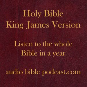 ABP - King James Version - One Artwork Image